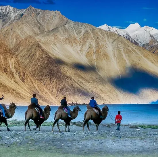 Amazing Leh with Nubra & Pangong (Group) 05 NIGHTS / 06 DAYS